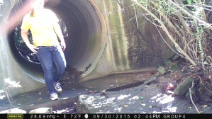 A picture for scale, to see how large the culvert actually is when compared to a person.